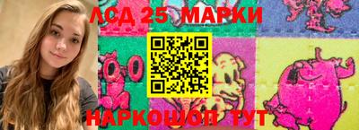 спайс Кингисепп
