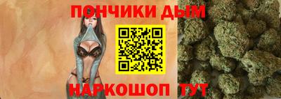 спайс Кингисепп