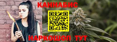 спайс Кингисепп