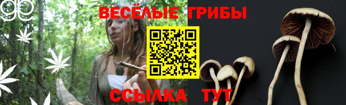 Галлюциногенные грибы Magic Shrooms Красный Сулин